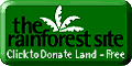 Click on button once a day to save the rainforest